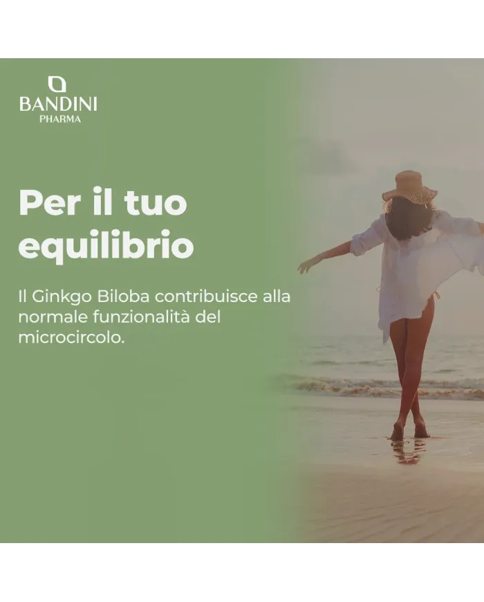Ginkgo Biloba - 365 compresse